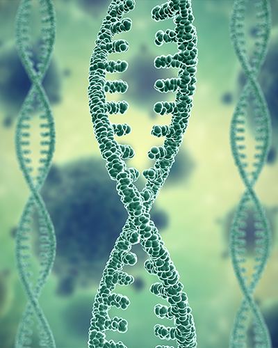 Journal of Genetics and Evolutionary Studies